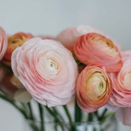 hochzeit  Strauß blumen, created by Pusteblume GmbH from, Thun, Steffisburg, Konolfingen